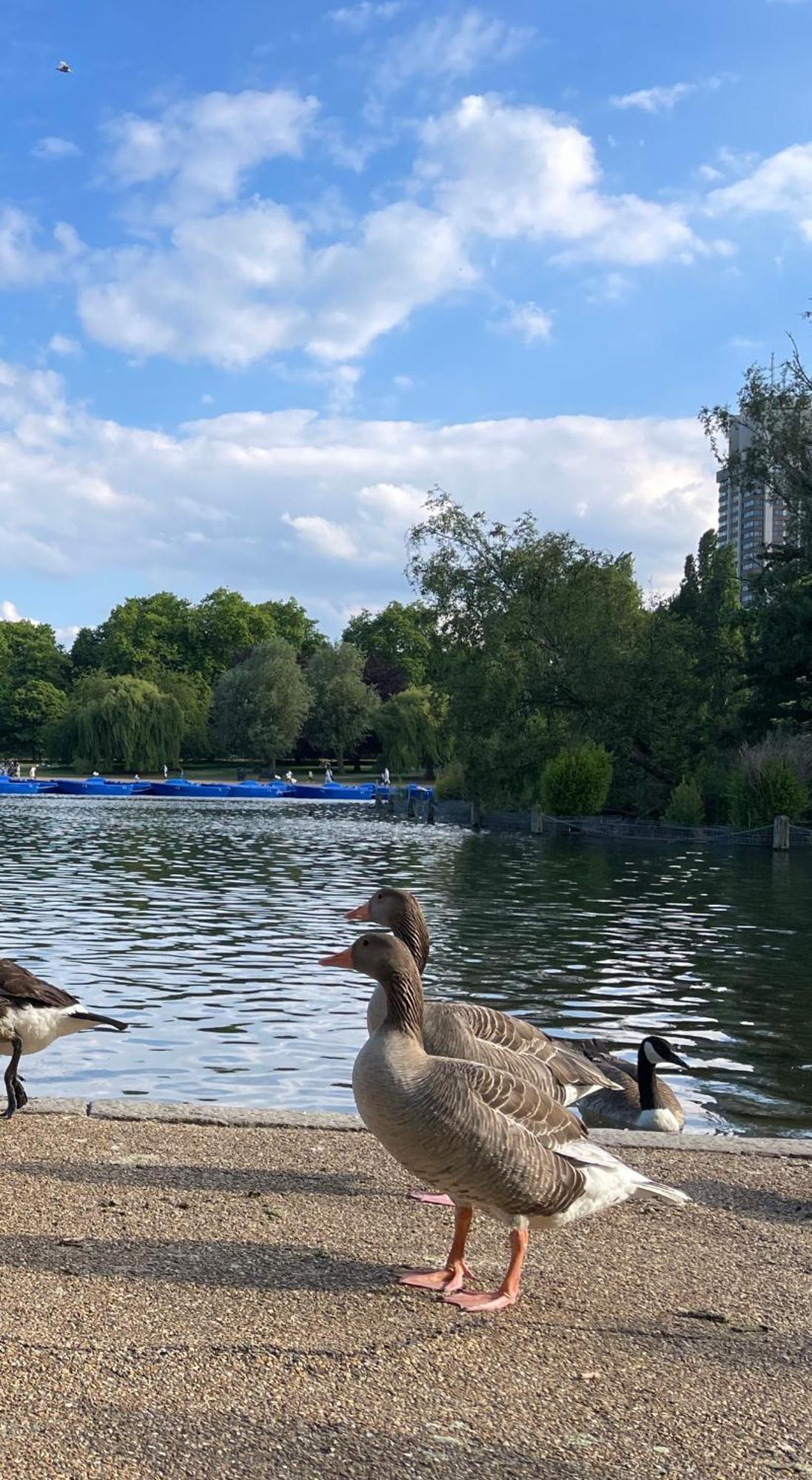 Spacious West End Duplex Apartment, W1 Central לונדון מראה חיצוני תמונה